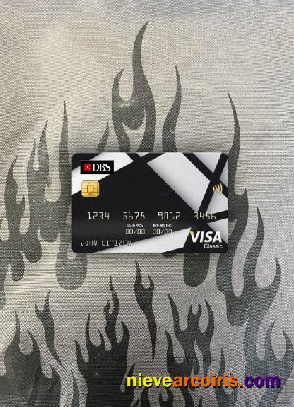 Singapore DBS bank visa classic card photolook